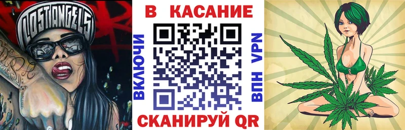 Купить закладку Петушки Марихуана  Меф мяу мяу  Alpha-PVP  Гашиш 
