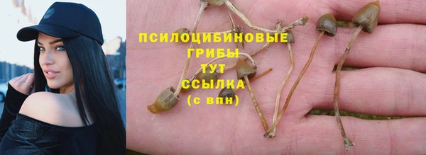 mix Нефтекумск