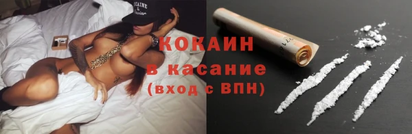 гашик Нея