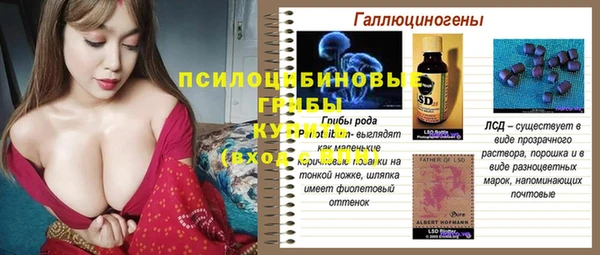 гашик Нея