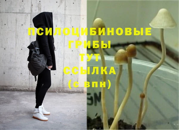 mix Нефтекумск